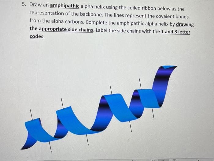 Amphipathic Alpha Helix
