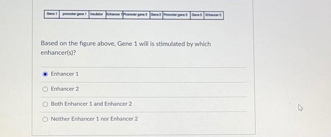 Solved What is the importance of RNA processing in bacteria? | Chegg.com