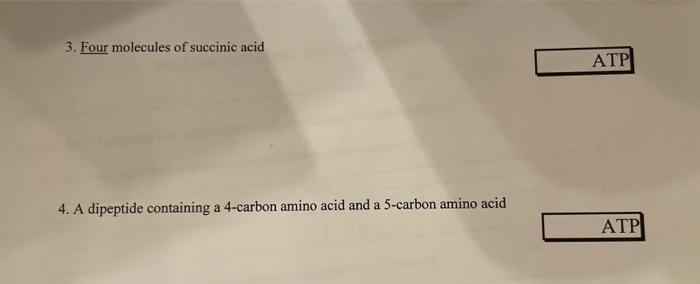 Solved Some common substrates and the place in the aerobic | Chegg.com