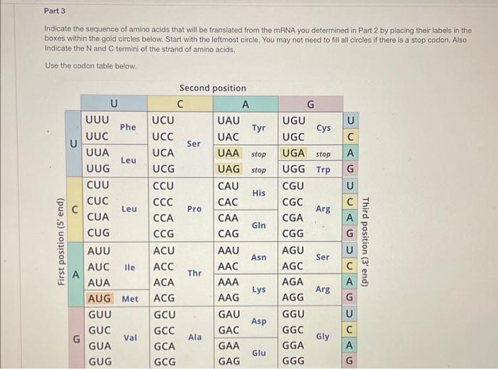 Solved This is a double-stranded DNA sequence-with no | Chegg.com