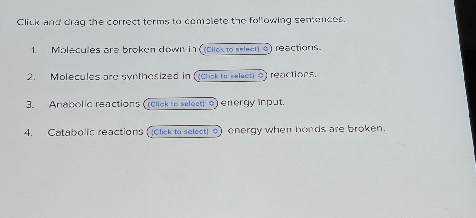 Solved Click and drag the correct terms to complete the