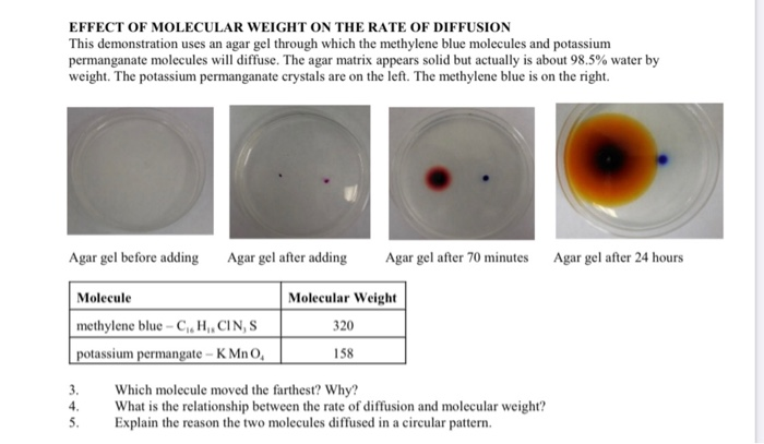 solved-effect-of-molecular-weight-on-the-rate-of-diffusion-chegg