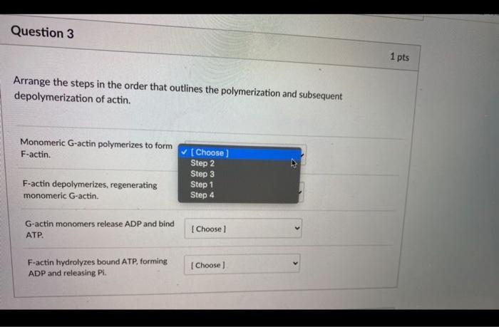 Solved Question 3 1 pts Arrange the steps in the order that | Chegg.com