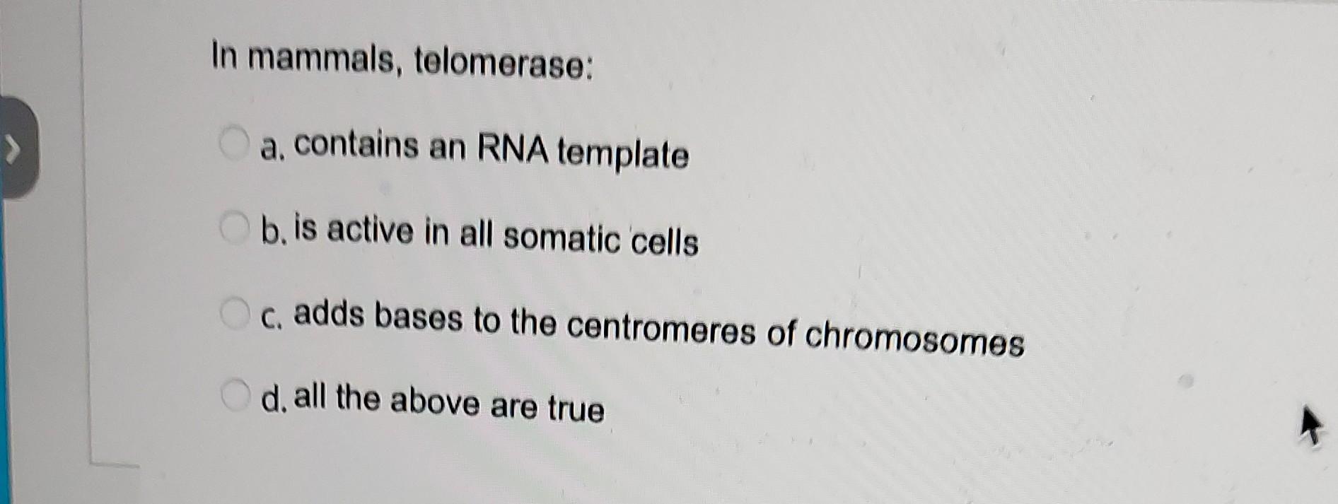 Solved In mammals, telomerase a. contains an RNA template