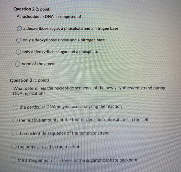 Solved Question 2 (1 point) A nucleotide in DNA is composed | Chegg.com