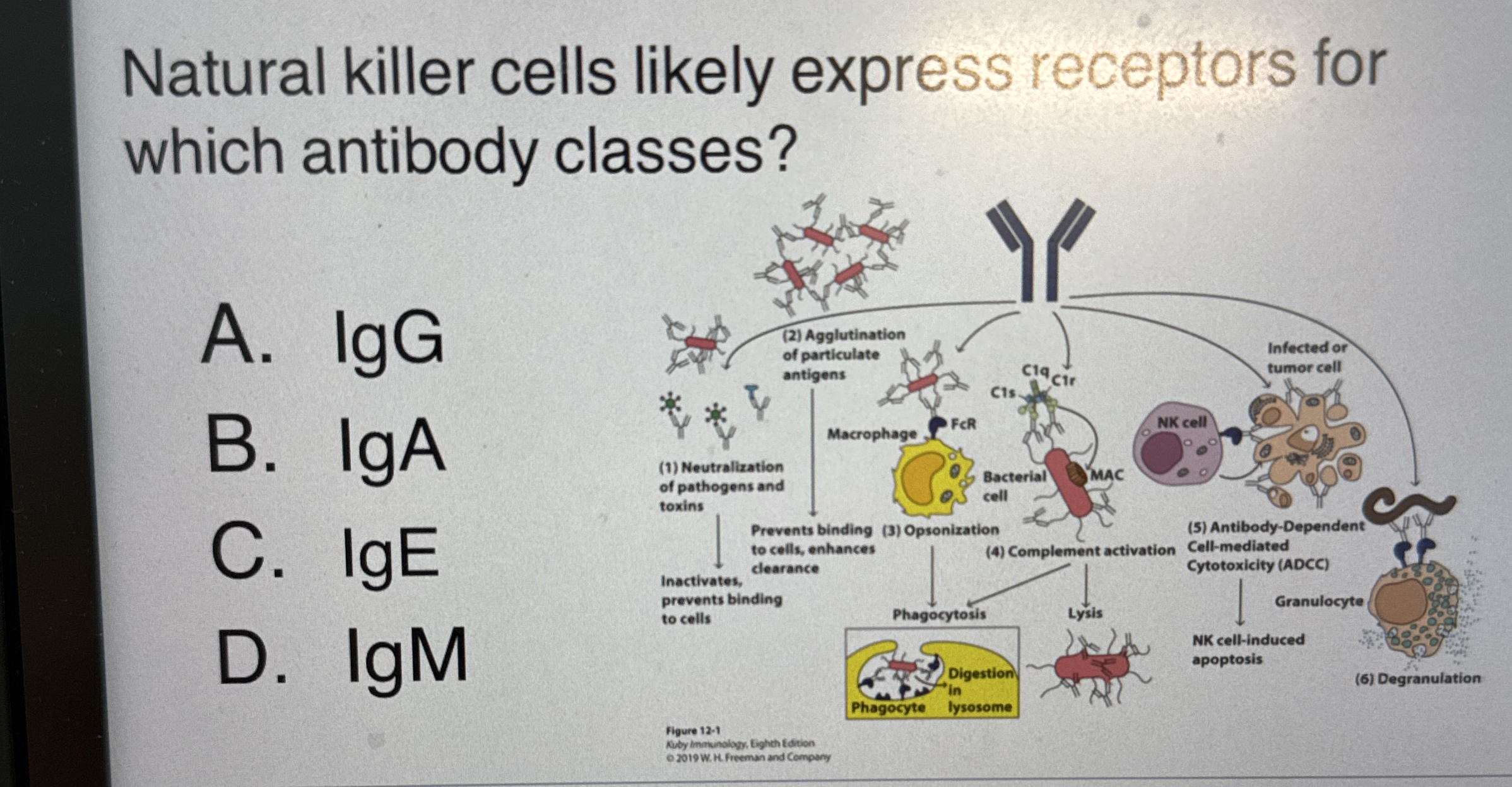 student submitted image, transcription available below