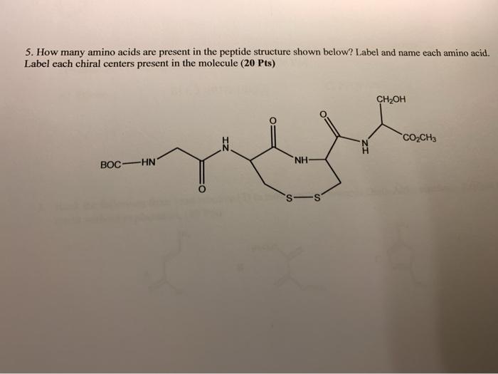Solved 5. How many amino acids are present in the peptide | Chegg.com