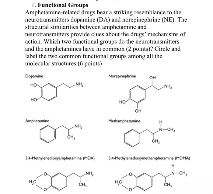 1. Functional Groups
Amphetamine-related drugs bear a striking resemblance to the
neurotransmitters dopamine (DA) and norepin