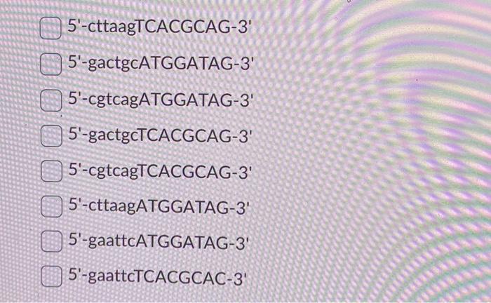Solved Below is the sequence of a gene, and you would like | Chegg.com