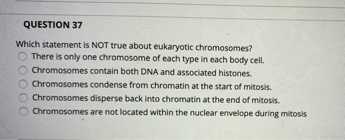 Which Statement Is Not True About Eukaryotic Chromosomes