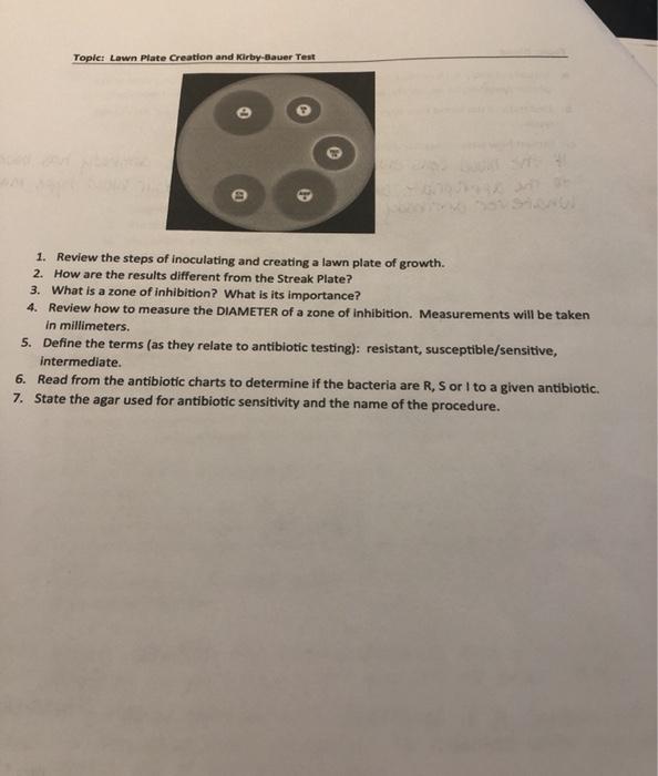 Solved Tople: Lawn Plate Creation and Kirby-Bauer Test 1. 