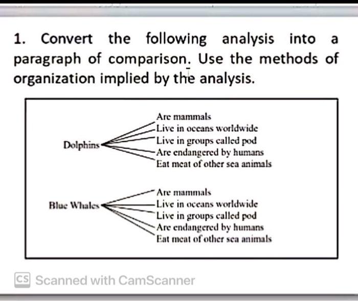 Solved Write a comparison paragraph for each one of these | Chegg.com