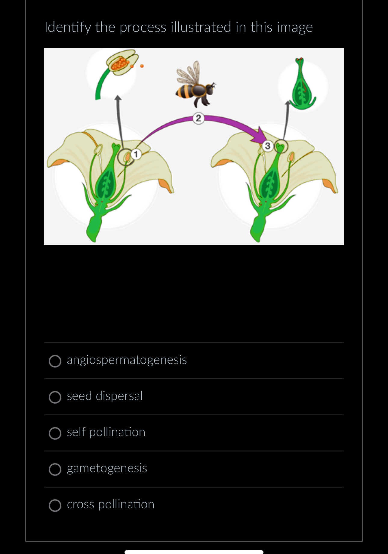 Solved Identify the process illustrated in this | Chegg.com