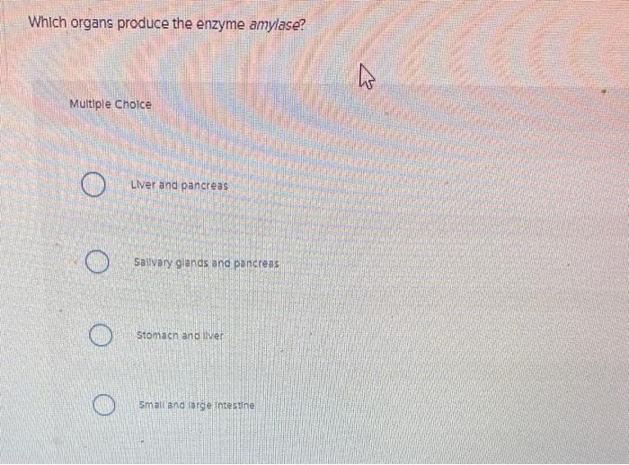 Which organs produce the enzyme amylase? Multiple
