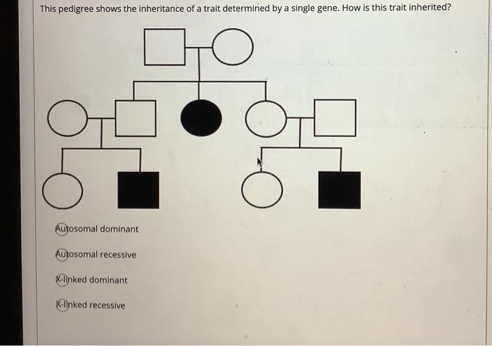 Solved This pedigree shows the inheritance of a trait | Chegg.com