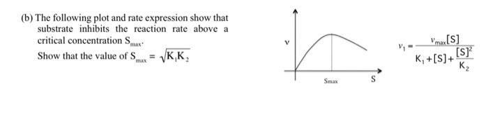 Solved (b) The following plot and rate expression show that | Chegg.com
