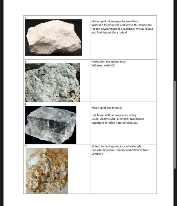 Solved Problem Set 1: Specimen Identification Look at the | Chegg.com