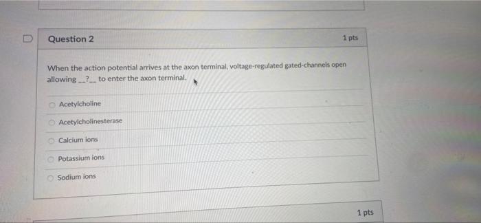 Solved Question 2 1 pts When the action potential arrives at | Chegg.com