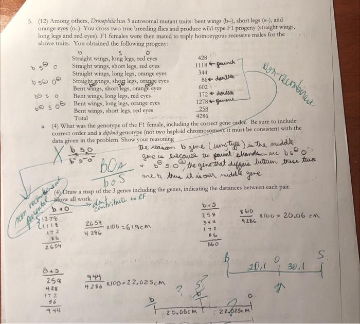 Solved can some please explain to me the anwsers to these | Chegg.com