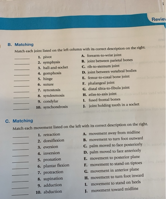 Solved match each joint listed on the left column with its | Chegg.com