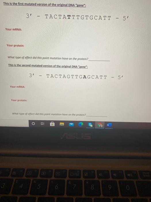 Solved OL 1408 Online - LAB 8: Gene Expression Gene | Chegg.com