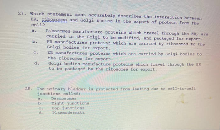 Solved Philic Editing 24 The Process Whereby White Blood Chegg Com