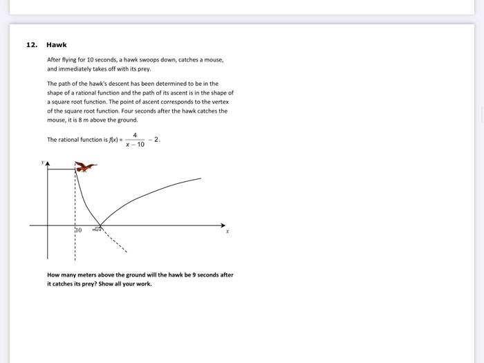 Solved 12. Hawk a After flying for 10 seconds, a hawk swoops | Chegg.com