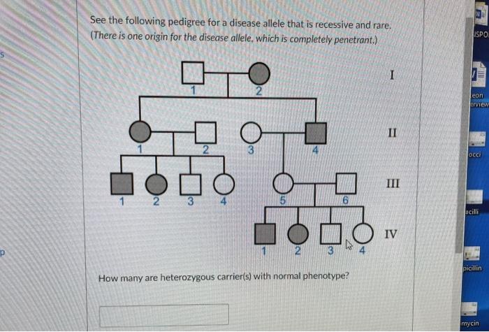 Solved See The Following Pedigree For A Disease Allele That 