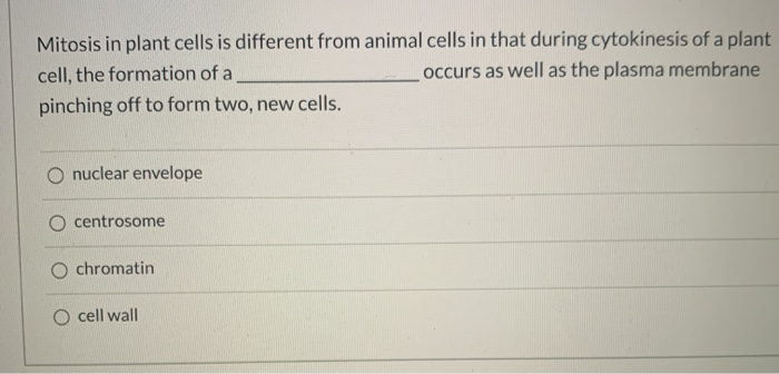 Mitosis In Plant Cells Is Different From Animal Cells Chegg Com