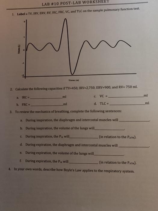 Solved LAB #10 POST-LAB WORKSHEET 1. Label a TV, IRV, ERV, | Chegg.com