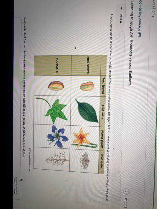 Solved: Ourse Home | Chegg.com