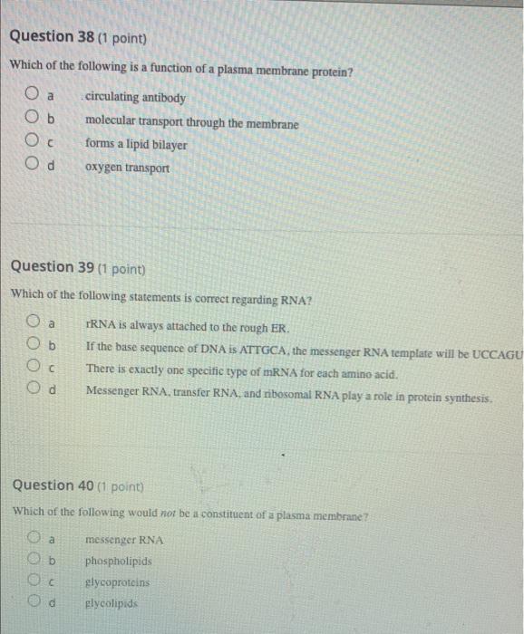 solved-question-38-1-point-which-of-the-following-is-a-chegg