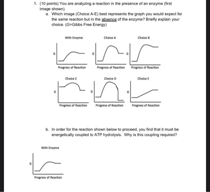 Solved 1. (10 points) You are analyzing a reaction in the | Chegg.com