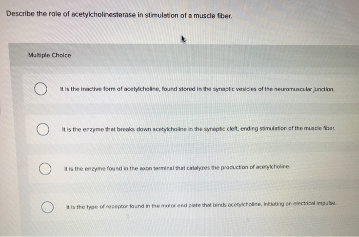 Solved Describe The Role Of Acetylcholinesterase In 2162