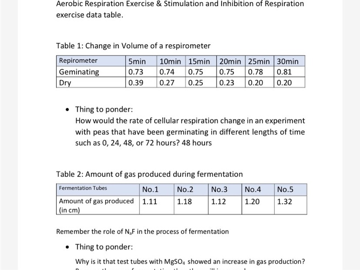 Aerobic Respiration Exercise & Stimulation and