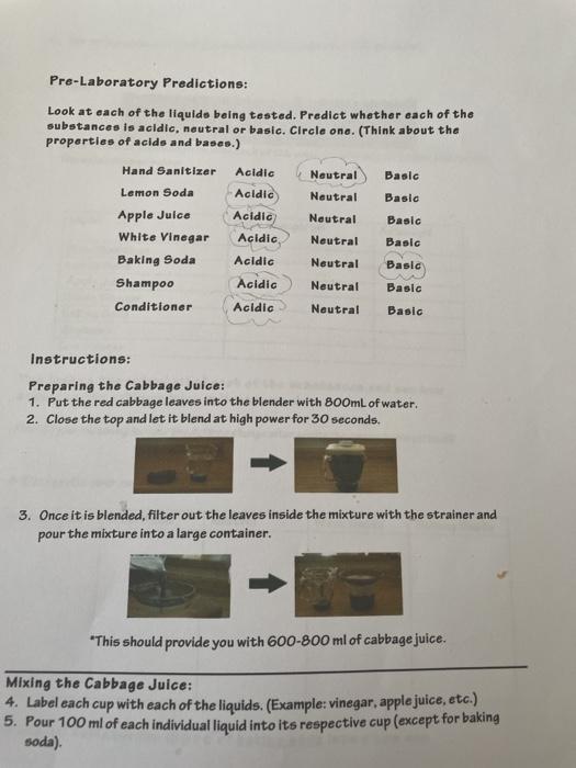 Solved Red Cabbage Lab Acids and Bases Introduction