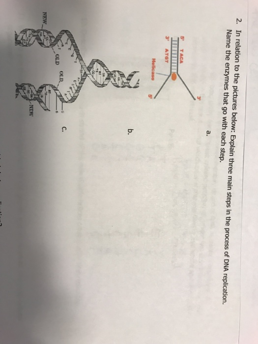 Solved 2. In relation to the pictures below Explain three