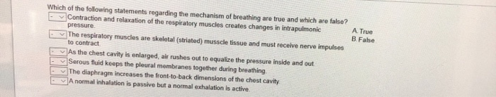 Solved Which of the following statements regarding the | Chegg.com