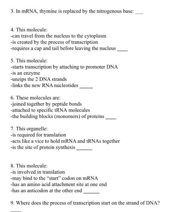 Solved 3. In mRNA, thymine is replaced by the nitrogenous | Chegg.com