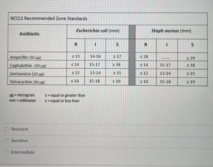 Kirby Bauer Susceptibility Testing
