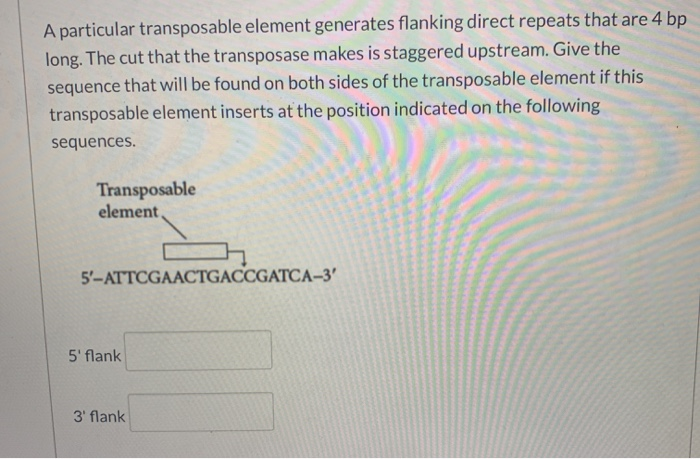 Solved After a single base pair change, the following amino | Chegg.com