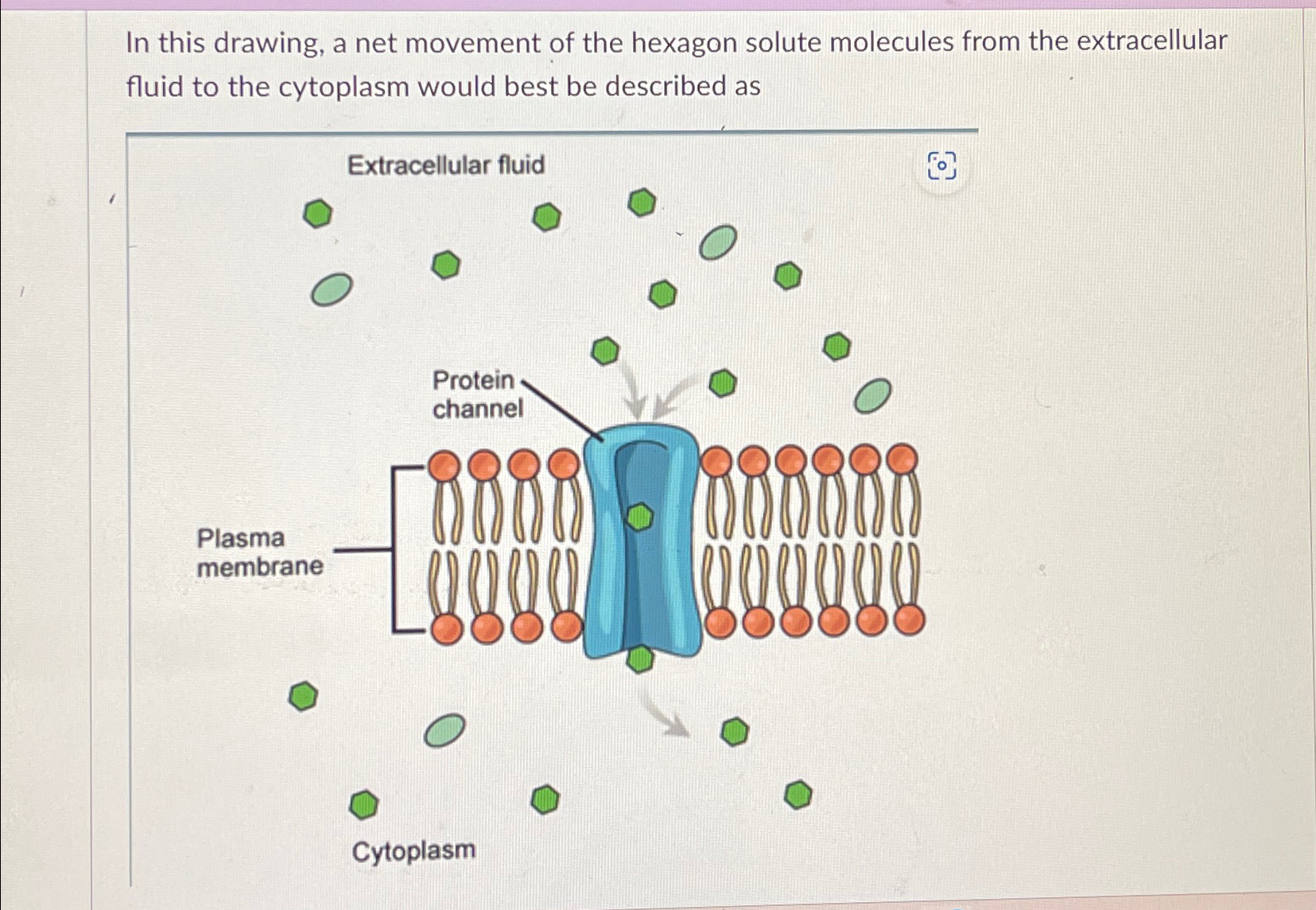 Solved In this drawing, a net movement of the hexagon solute | Chegg.com