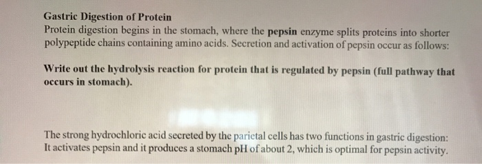 pepsin enzyme stomach
