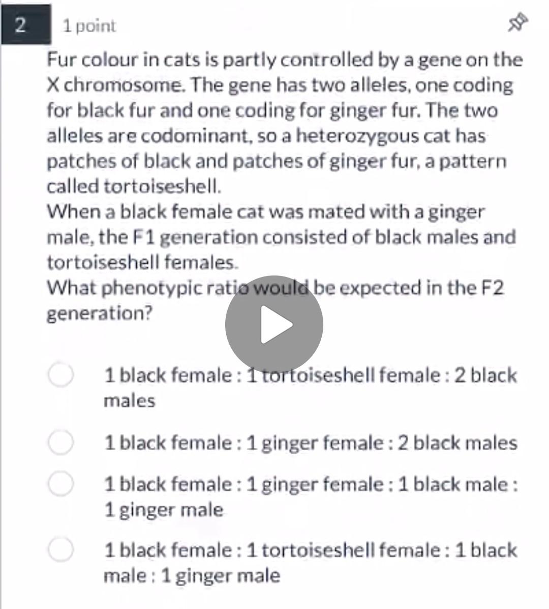 Solved 1 point Fur colour in cats is partly controlled by a | Chegg.com