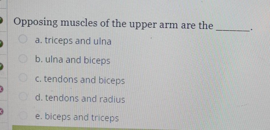 Solved A motor neuron and all the muscle fibers it synapses | Chegg.com