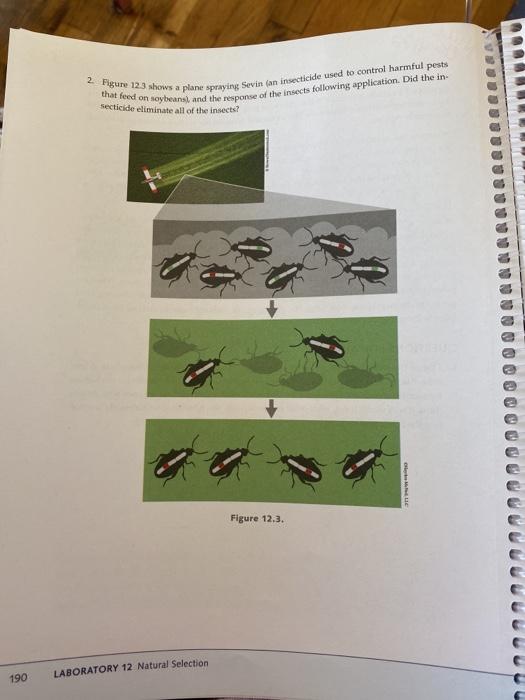Solved EXAMPLE OF RAPID EVOLUTION INTRODUCTION An example of | Chegg.com