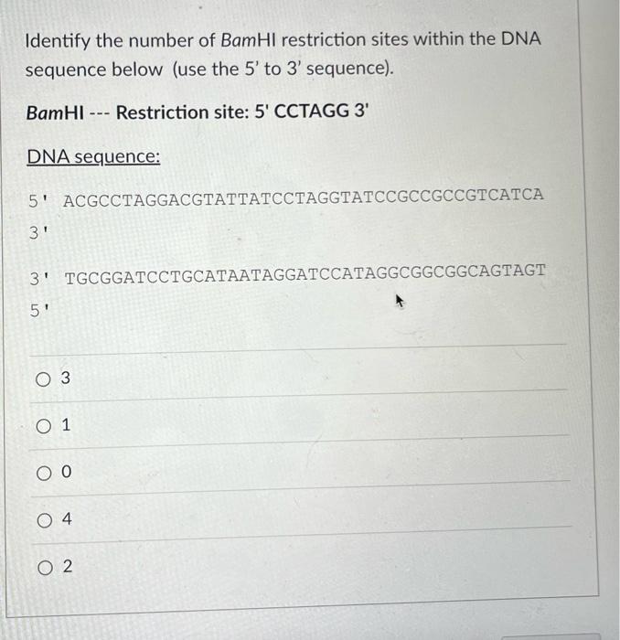 Solved Identify The Number Of Bamhi Restriction Sites Within 