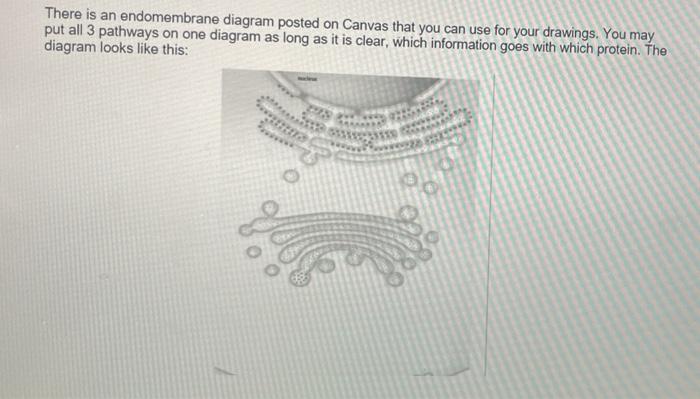 Solved 2. Based on the following protein descriptions, draw | Chegg.com