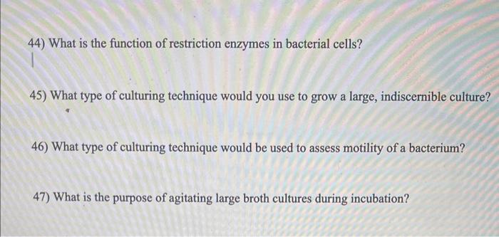 function of restriction enzymes in bacterial cells