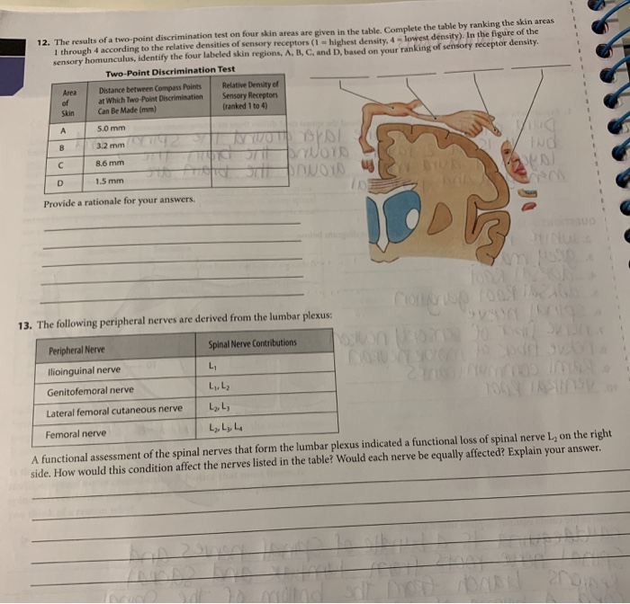 Solved 12. The results of a two-point discrimination test on | Chegg.com